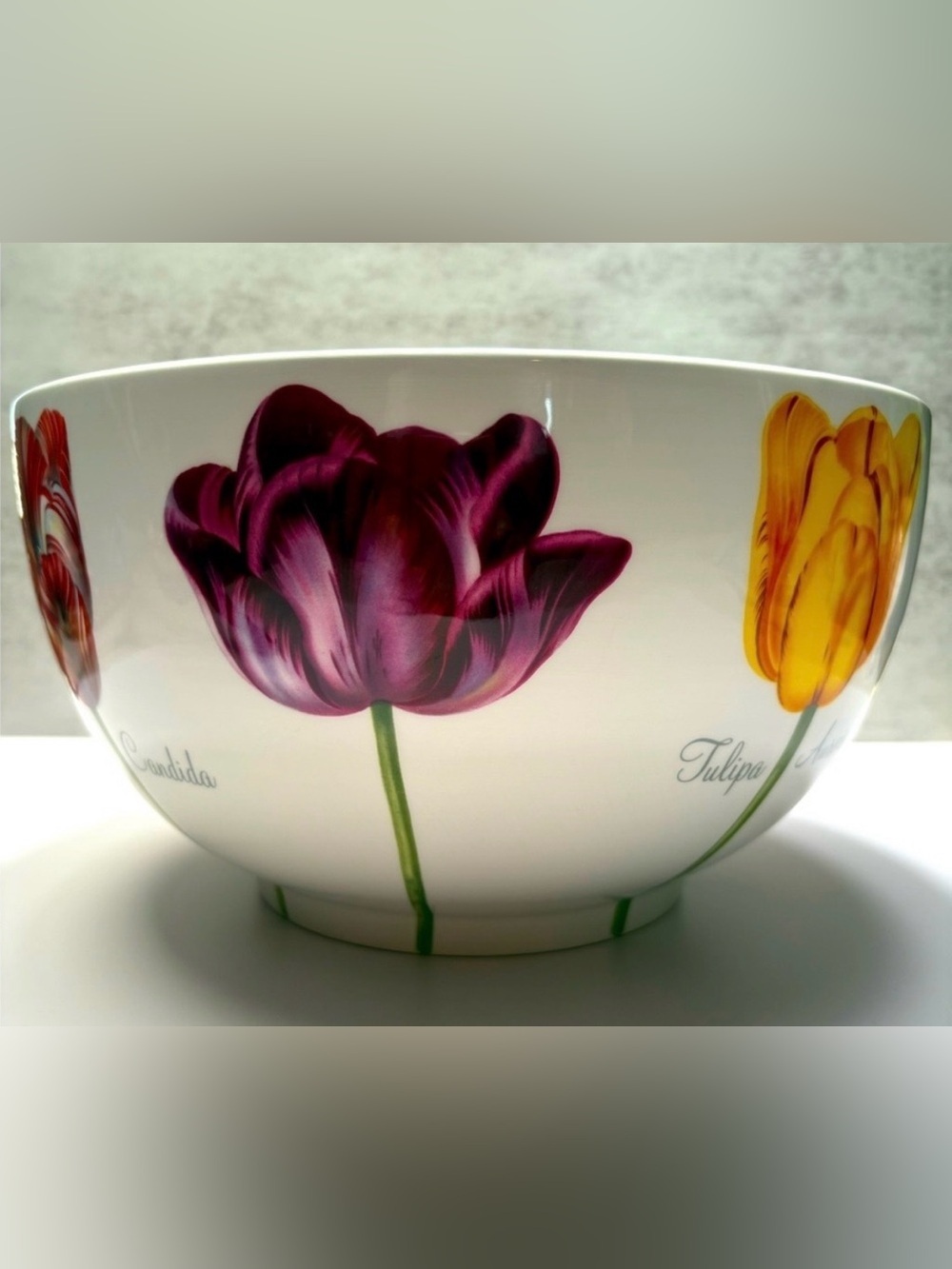 Lord and Taylor Pottery Tulip Bowl R.B. Bernarda Portugal Serving Bowl